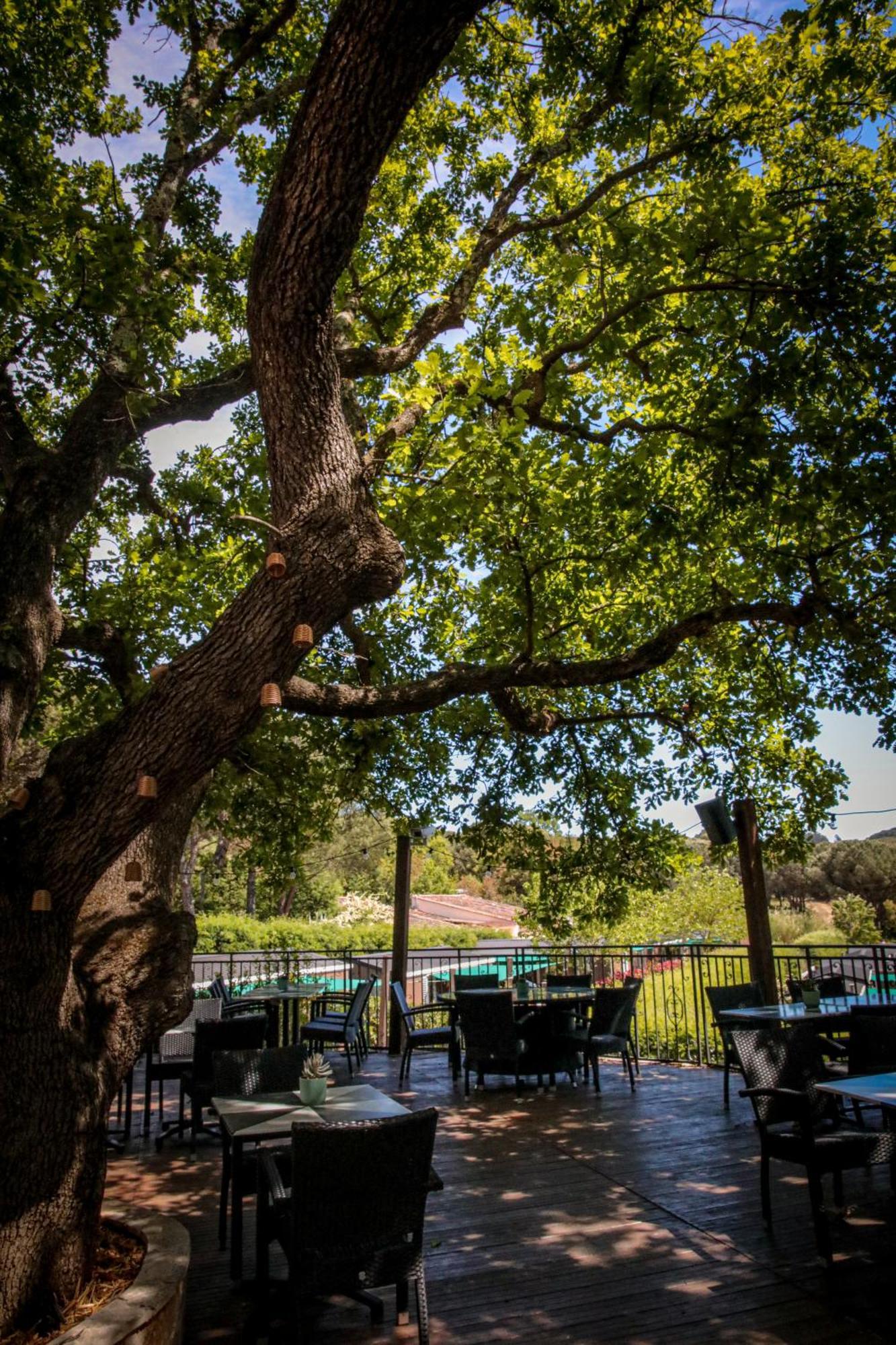 Domaine De Verdagne ガッサン エクステリア 写真